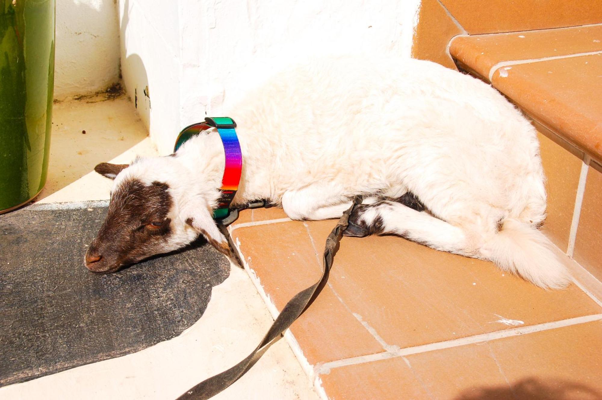 Casa Rural Ga7Colores Only Adult Montana Blanca ภายนอก รูปภาพ