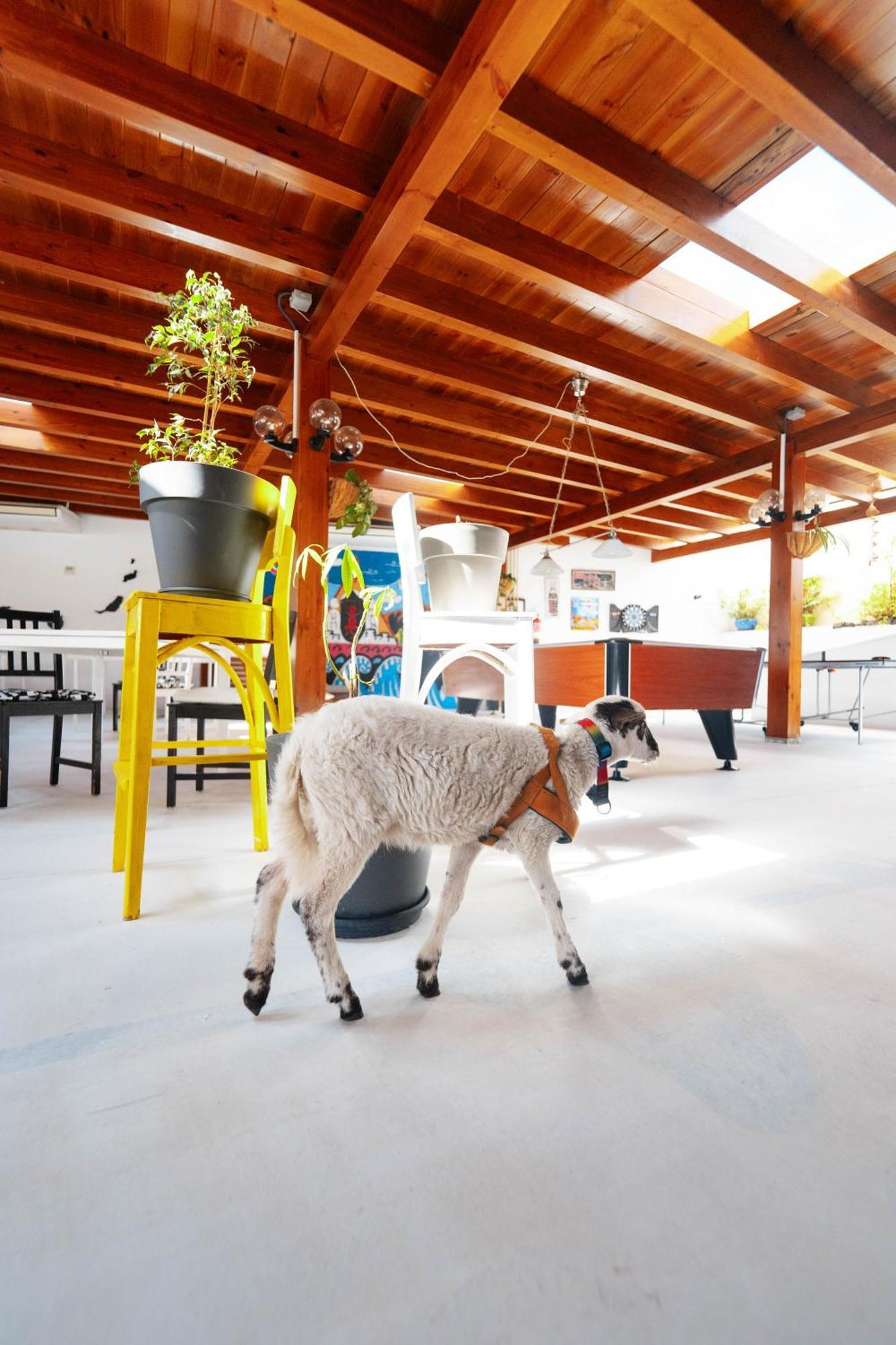 Casa Rural Ga7Colores Only Adult Montana Blanca ภายนอก รูปภาพ